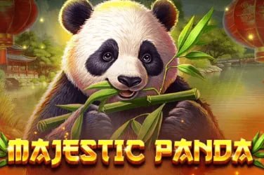 panda555